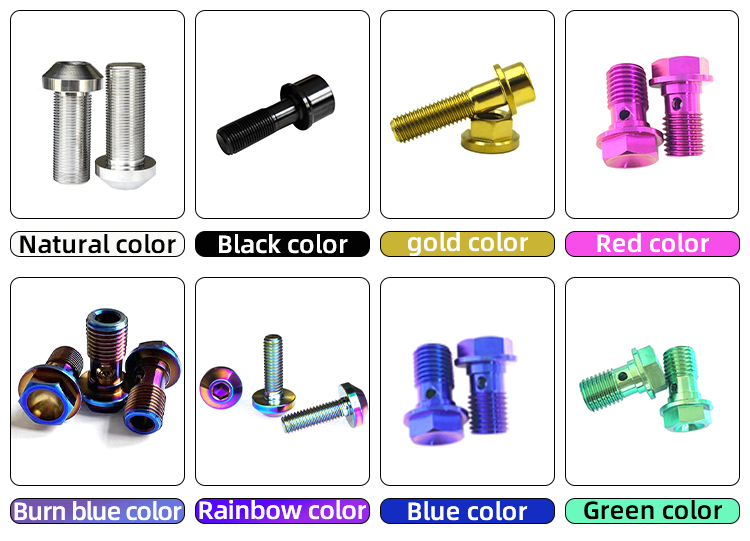Customizable Colors Options